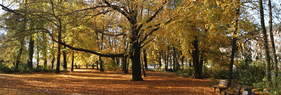 Der Goetheplatz im Herbst